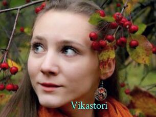 Vikastori