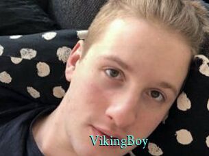 VikingBoy
