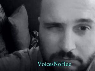 VoicesNoHue