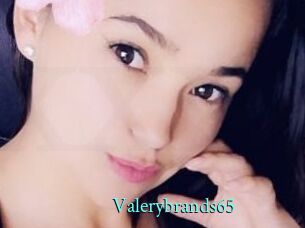 Valerybrands65