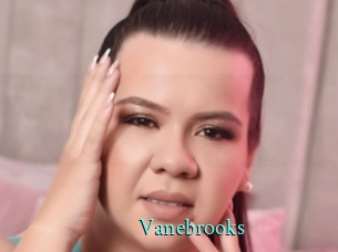 Vanebrooks