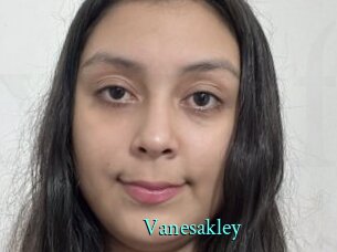 vanesakley xxx Fantasy Land
