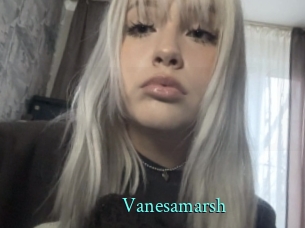 Vanesamarsh