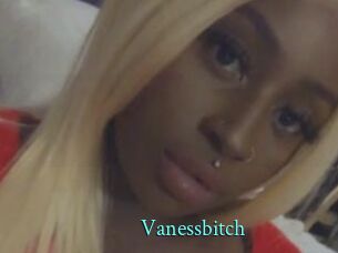 Vanessbitch