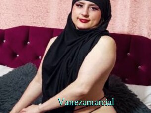 Vanezamarcial