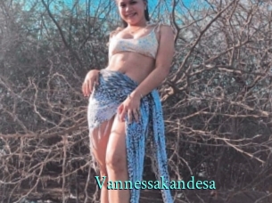 Vannessakandesa