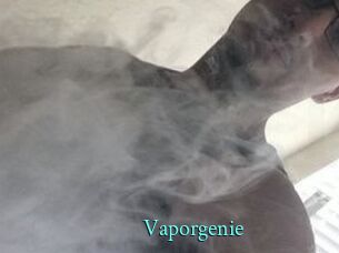 Vapor_genie