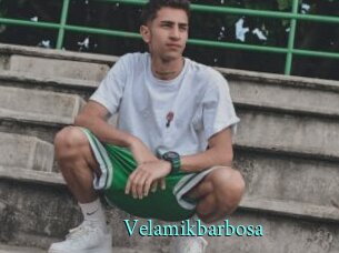 Velamikbarbosa