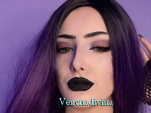 Venenadivina