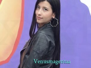 Venusmagentaa