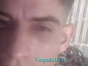 Vergudo1235