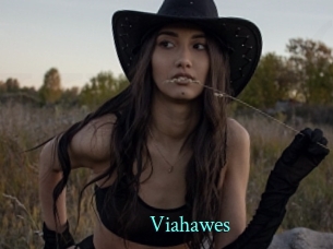 Viahawes