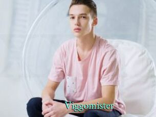 Viggomister