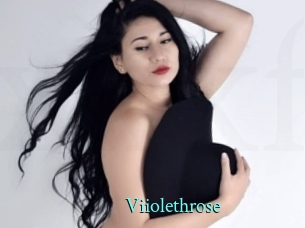 Viiolethrose