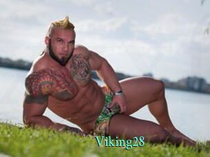 Viking28