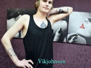 Vikjohnson