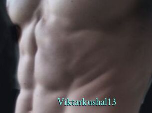 Viktarkushal13
