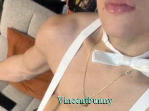 Vincentbunny
