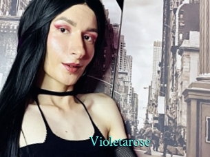Violetarose