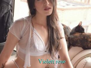 Violett_rose