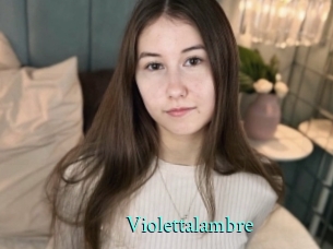 Violettalambre