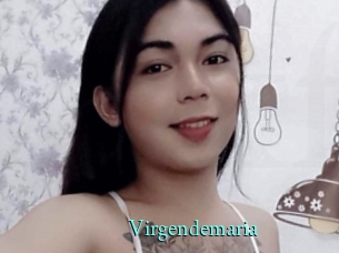 Virgendemaria