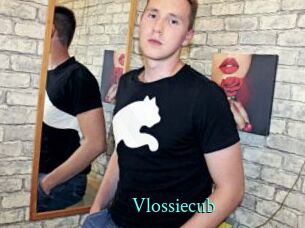 vlossiecub xxx Fantasy Land