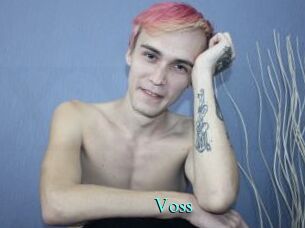 Voss