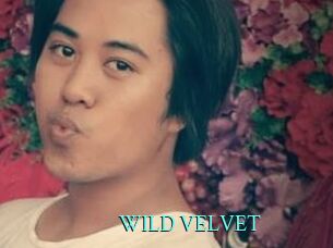 WILD_VELVET
