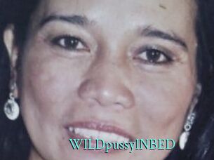 WILDpussyINBED