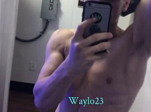 Waylo23
