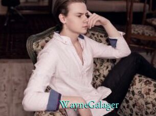 WayneGalager