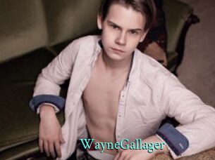 WayneGallager