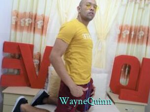 WayneQuinn