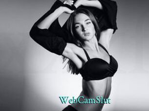 WebCamSlut