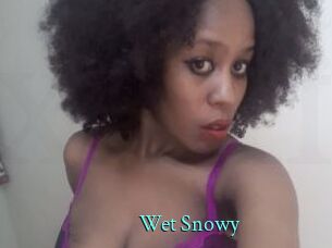 Wet_Snowy
