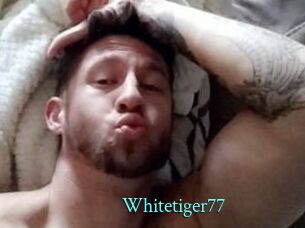 Whitetiger77