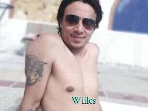 Wiiles xxx Fantasy Land