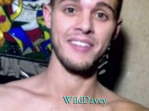 WildDavey