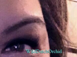 WildDutchOrchid
