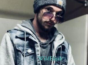 WildElijah