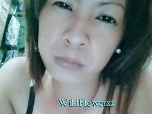 WildFlowerxx