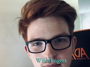 WildGingerx