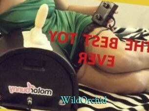 WildOrchid_
