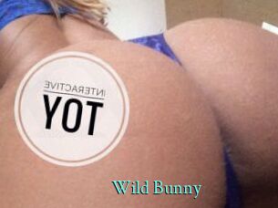 Wild_Bunny_
