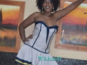 Wildcat30