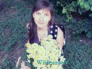 Wildcumster