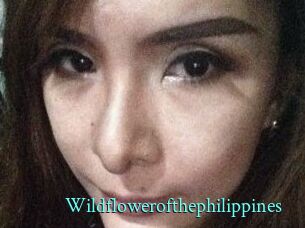 Wildflowerofthephilippines