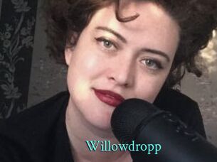 Willowdropp