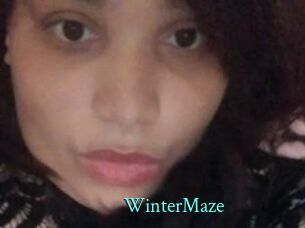 Winter_Maze